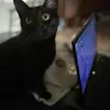 susanmcelroy02 - @susanmcelroy02 - TikTok