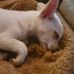Susie Mcelwain - Facebook