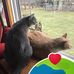 Sue McFaul - Facebook