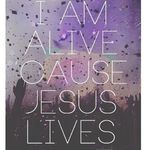 @susan_mcfaull - Instagram