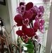 Sue Mcfee - Facebook