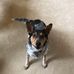 Sue McFee-Carpenter - Facebook