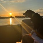Susan Sherlock McFee - @susansherlockmcfee - Instagram
