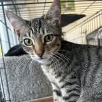 Susan McGivern - @mcgivern.susan - Instagram