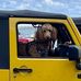 Sue McGlinchey - Facebook