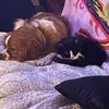 susanmccuneisaacb - @susanmccuneisaacb - TikTok