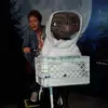 Susan Mclachlan - @user551881816 - TikTok