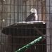 Susan N. McLane Audubon Center - Facebook