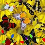 Susan McPhail Lovering - @susanrlovering - Instagram