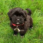 @melody_susan_mcphee_madison - Instagram