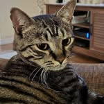 Susan Chancey Mcphee - @susanmcphee4 - Instagram