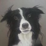 Susan McPhee - @susan_mcphee - Instagram