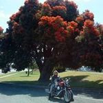 Susan McPhee - @focky_sue - Instagram