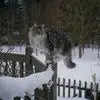 Susan McPhee - @susan.mcphee2 - TikTok