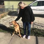 Susan Mcquade - @susan.mcquade.5 - Instagram