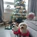 Susan Mcquade - Facebook