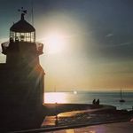 Susan Mcsweeney - @susan.mcsweeney.14 - Instagram