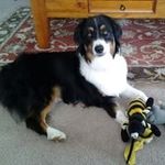 susan melling - @suemell2750 - Instagram