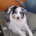 Susan Melling - Facebook