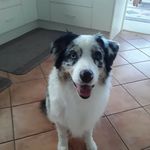 Susan Melling - @susan_melling - Instagram