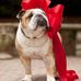 Susan Melson - Facebook