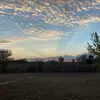 Susan Menefee Adams - @susanmenefeeadams - TikTok