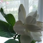 SusanMesa - @susanamesa137 - Instagram