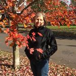 Susan Messer - @susan.messer.58 - Instagram