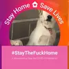 Susan Messing - @susanmessing - TikTok