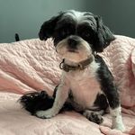 Susan Messner - @susan5775 - Instagram