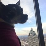 Susan Methvin - @calliemethvin - Instagram