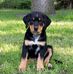 Susann Susi Meyerhoff - Facebook