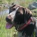 Susan Midgley - Facebook
