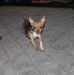 Susan Midgley - Facebook