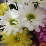 Susan Midgley - Facebook