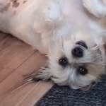 Susan Milliner - @suemilliner - Instagram