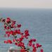 Sue Milnes - Facebook