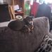 Susan Milnes - Facebook