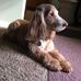 Susan Minder - Facebook