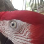 Susan Mink - @lucilleoval - Instagram
