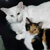 Susan Minor - @susanminor69 - TikTok