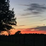 Susan Minton - @seenbysusan003 - Instagram