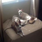 Susan Myers -Minton - @smyersminton - Instagram