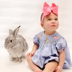 Susan Mire Bush - @sbush101 - Instagram