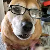 susanturnmire - @susanturnmire - TikTok