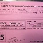 Susan Mitnick - @mitnicksusan - Instagram