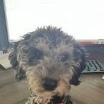 Susan Kelley Mobley - @shoesan27 - Instagram