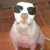 susanmobley75 - @susanmobley75 - TikTok