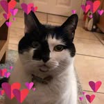 Sue Moffatt - @susanmoffatt68 - Instagram