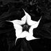 Susan Moffatt - Facebook